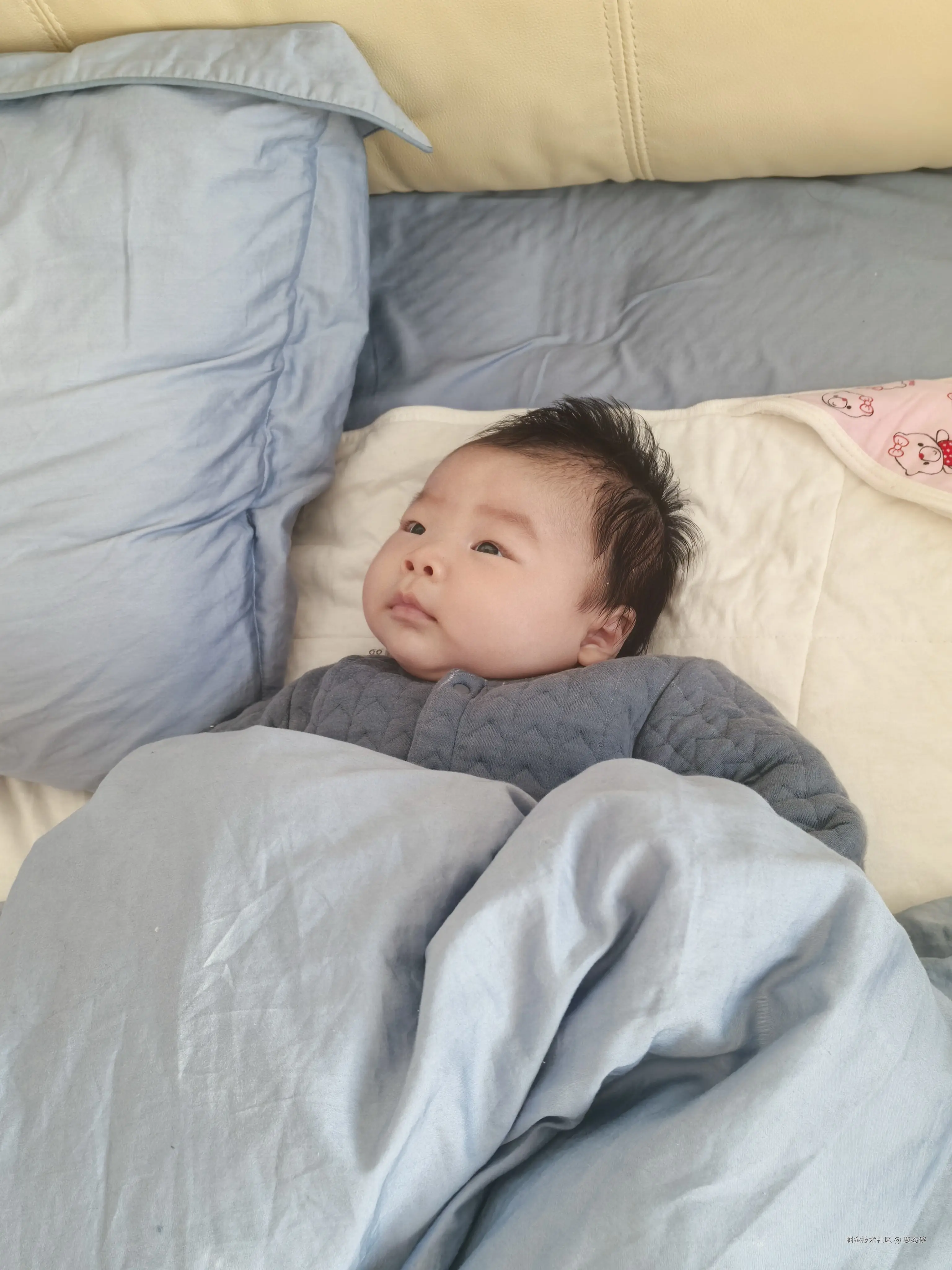 变态侠于2026-01-28 11:05发布的图片