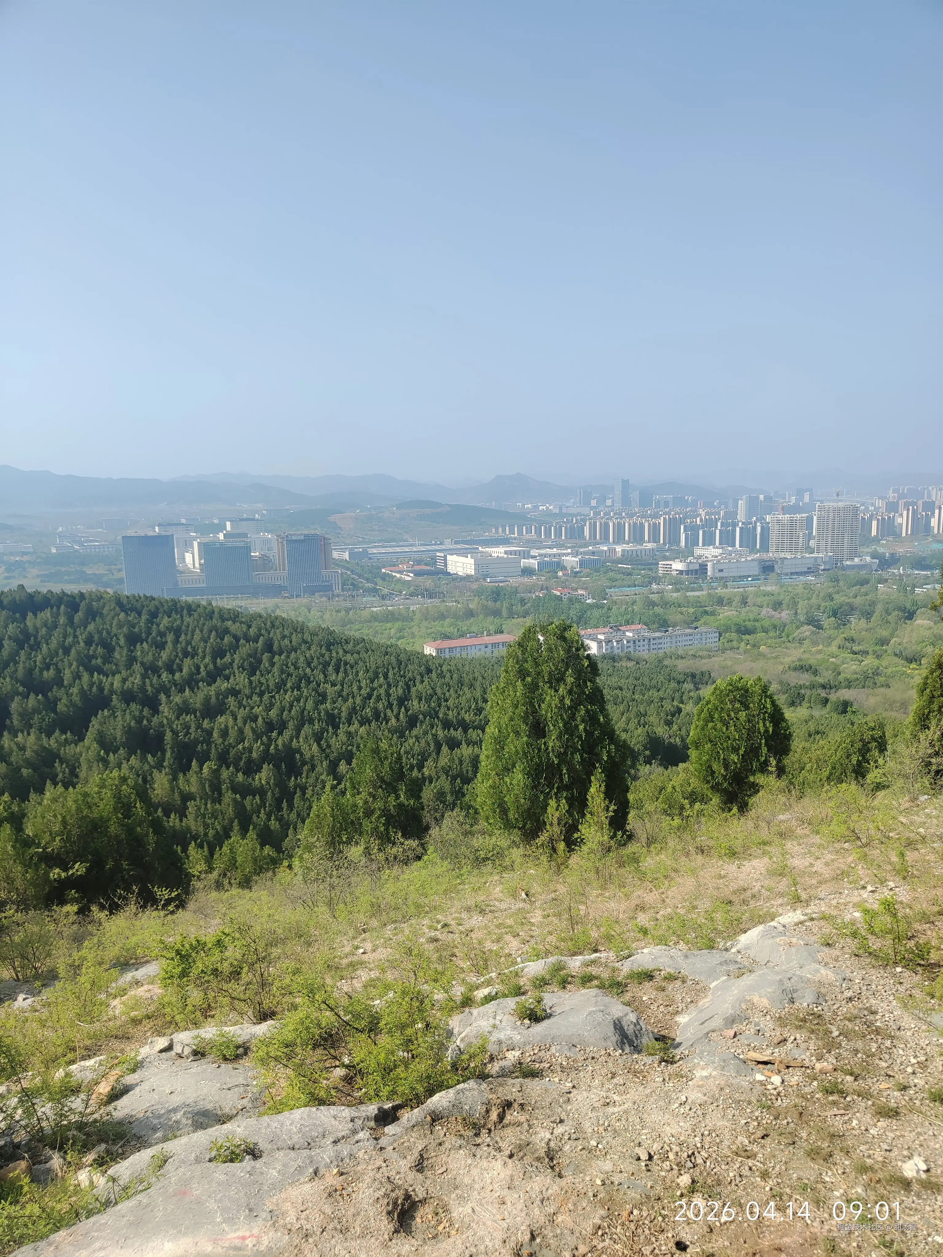 甜汤圆于2026-04-14 10:44发布的图片