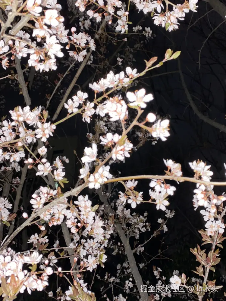 lq木头于2025-03-18 08:21发布的图片