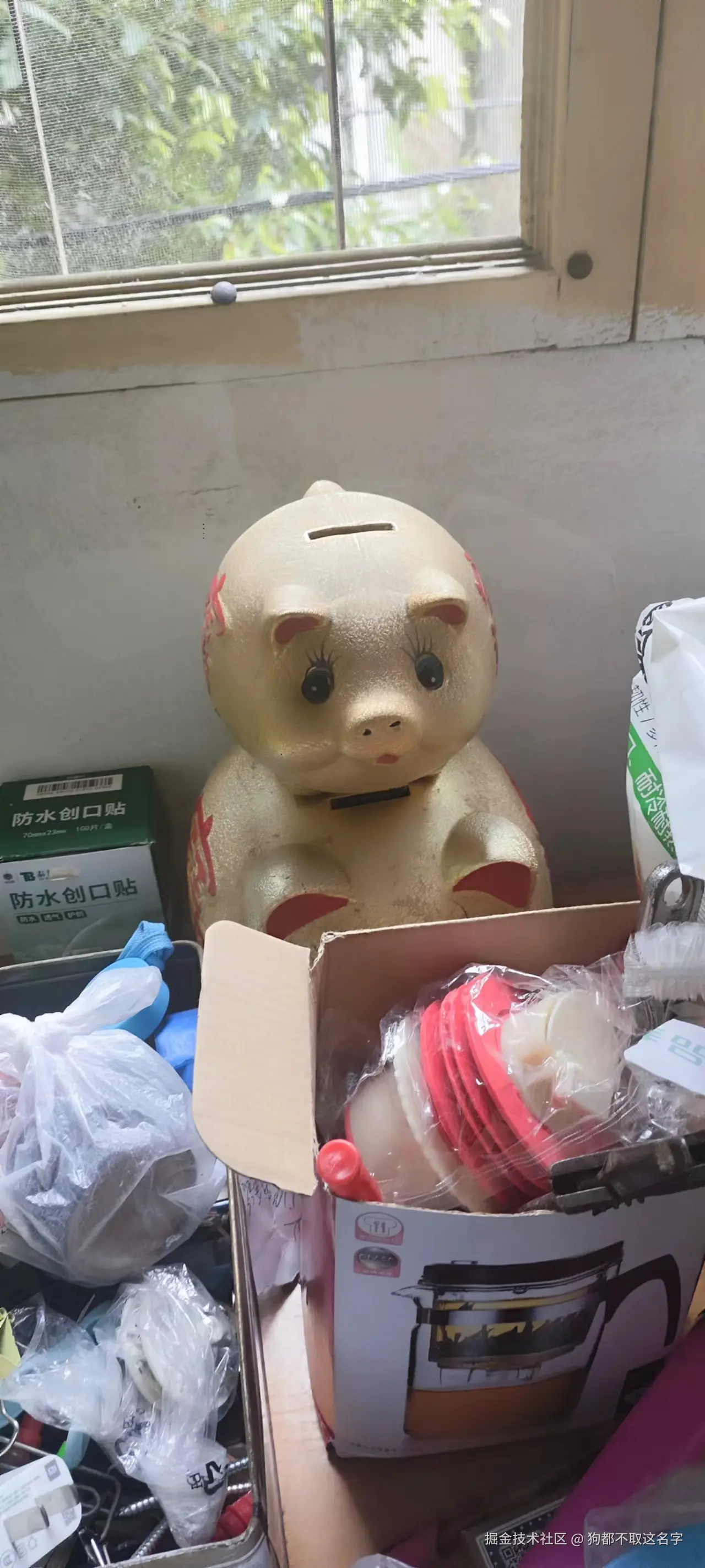 狗都不取这名字于2024-09-23 15:44发布的图片