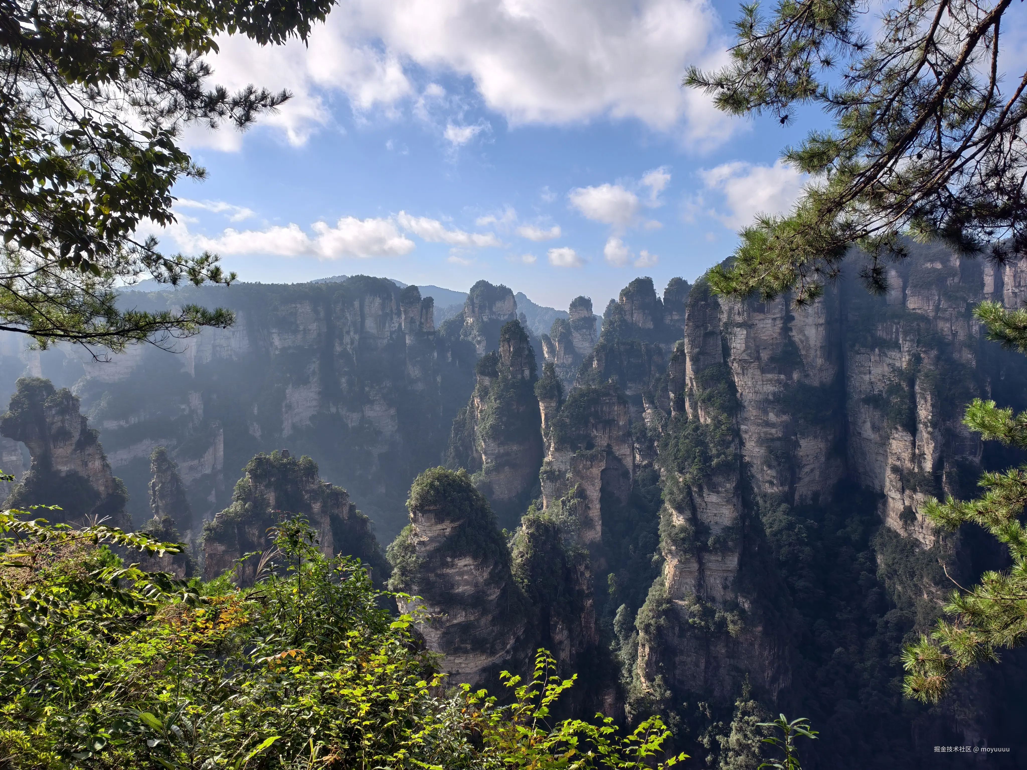 moyuuuu于2025-10-09 02:09发布的图片