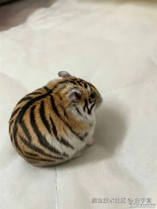 白手套于2026-01-28 11:24发布的图片