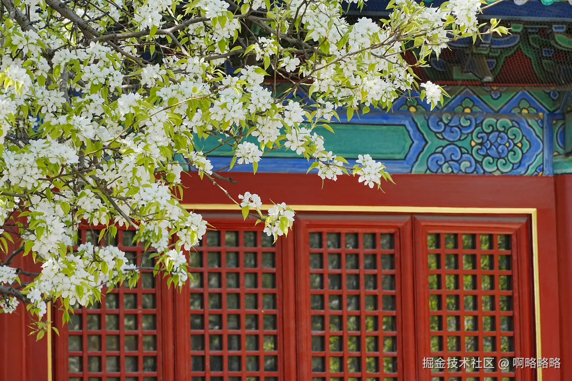 啊略略略于2025-04-02 14:21发布的图片