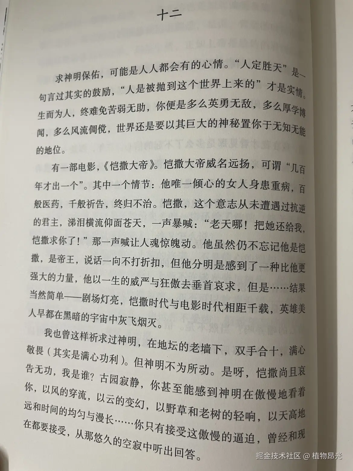 植物昂光于2026-05-04 12:08发布的图片