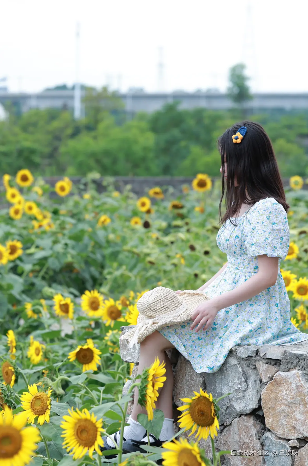 三碗呀于2025-07-09 10:10发布的图片