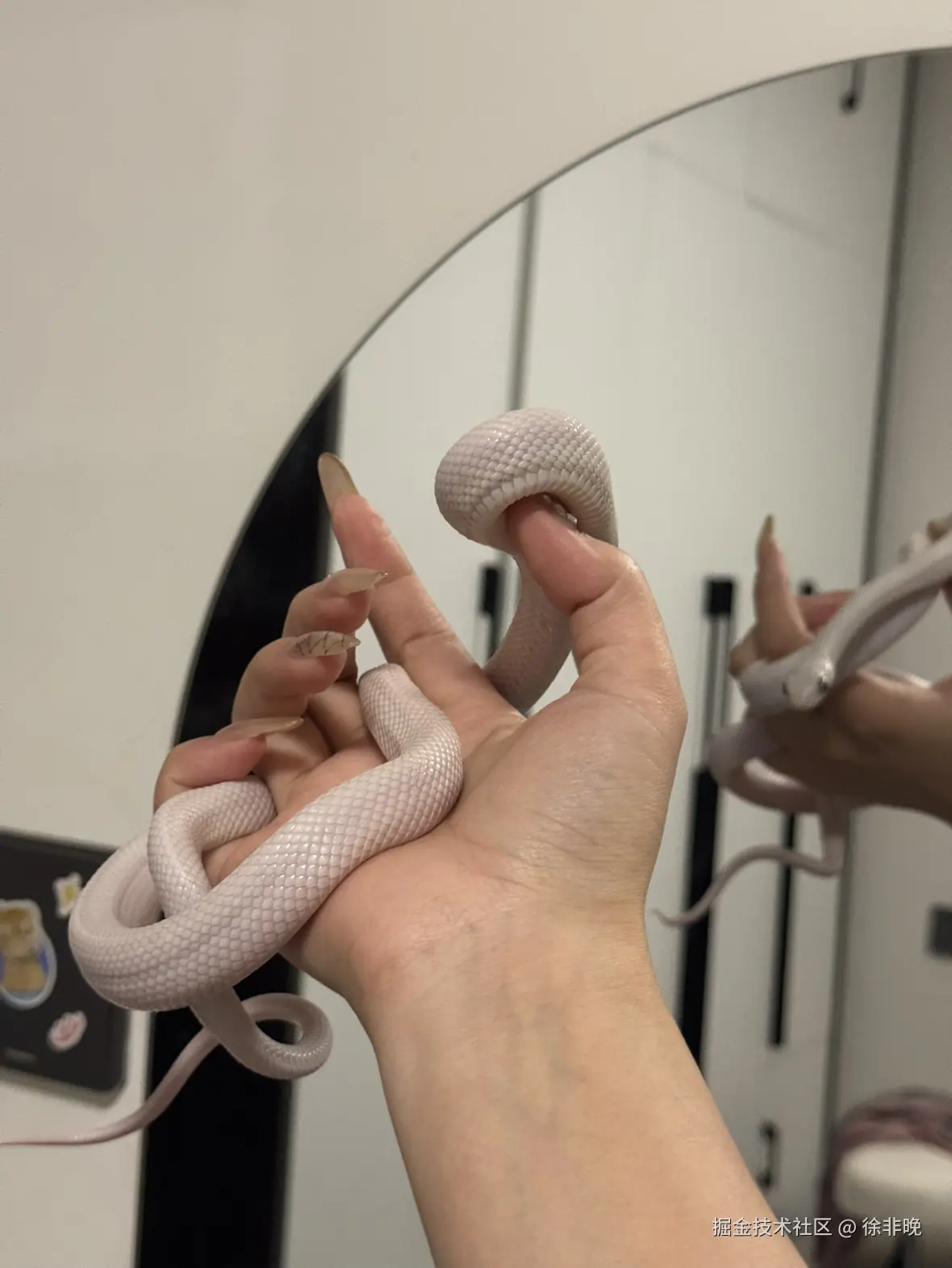 徐非晚于2025-11-18 21:53发布的图片