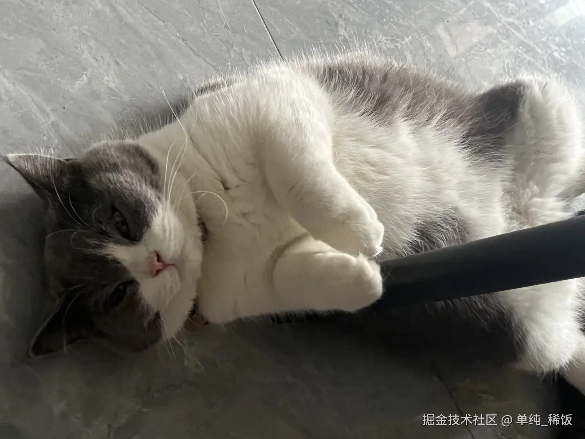 单纯_稀饭于2024-08-30 06:36发布的图片
