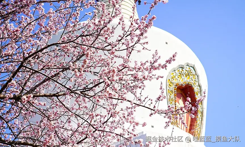 哇蓝蓝_摸鱼大队于2026-03-16 16:14发布的图片