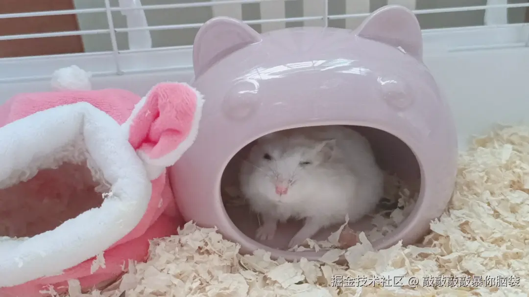 敲敲敲敲暴你脑袋于2024-11-04 15:39发布的图片