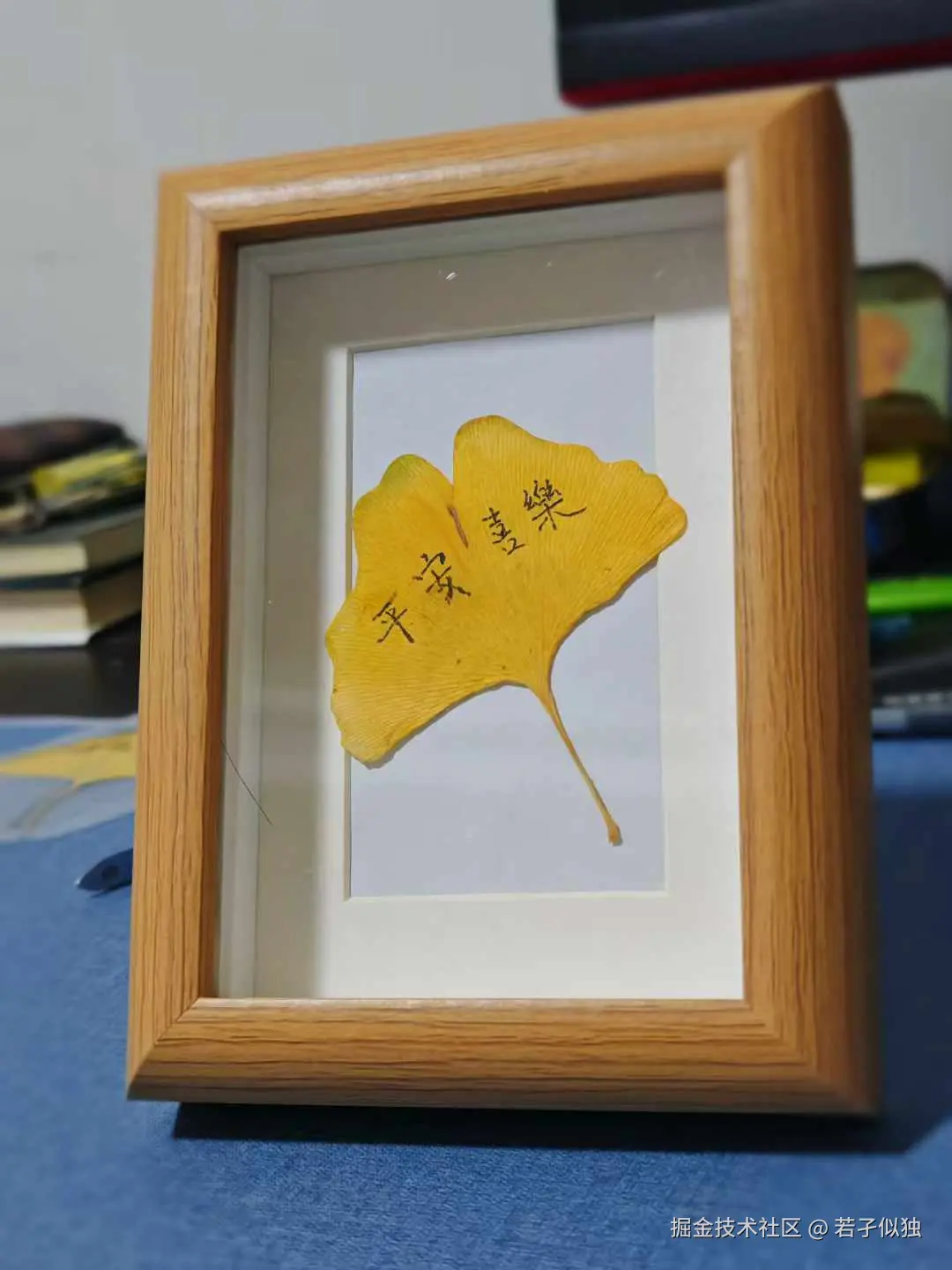 若孑似独于2024-12-16 17:22发布的图片