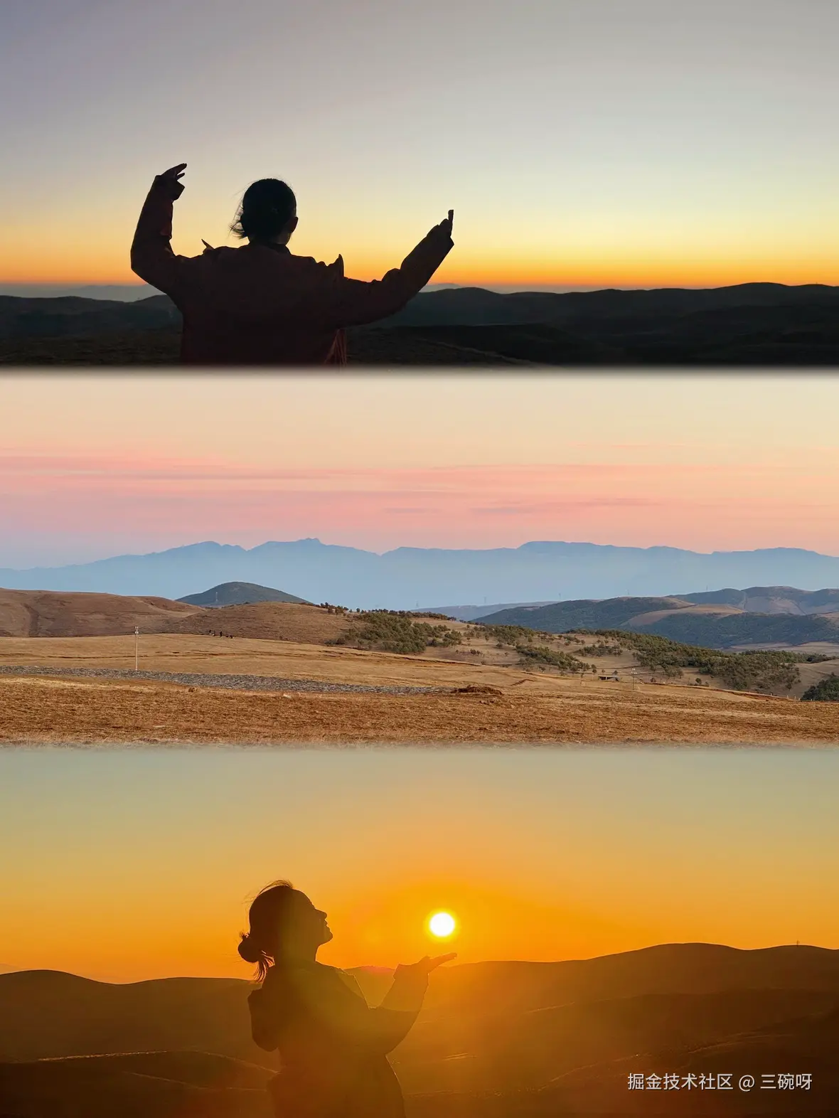 三碗呀于2026-03-05 13:33发布的图片