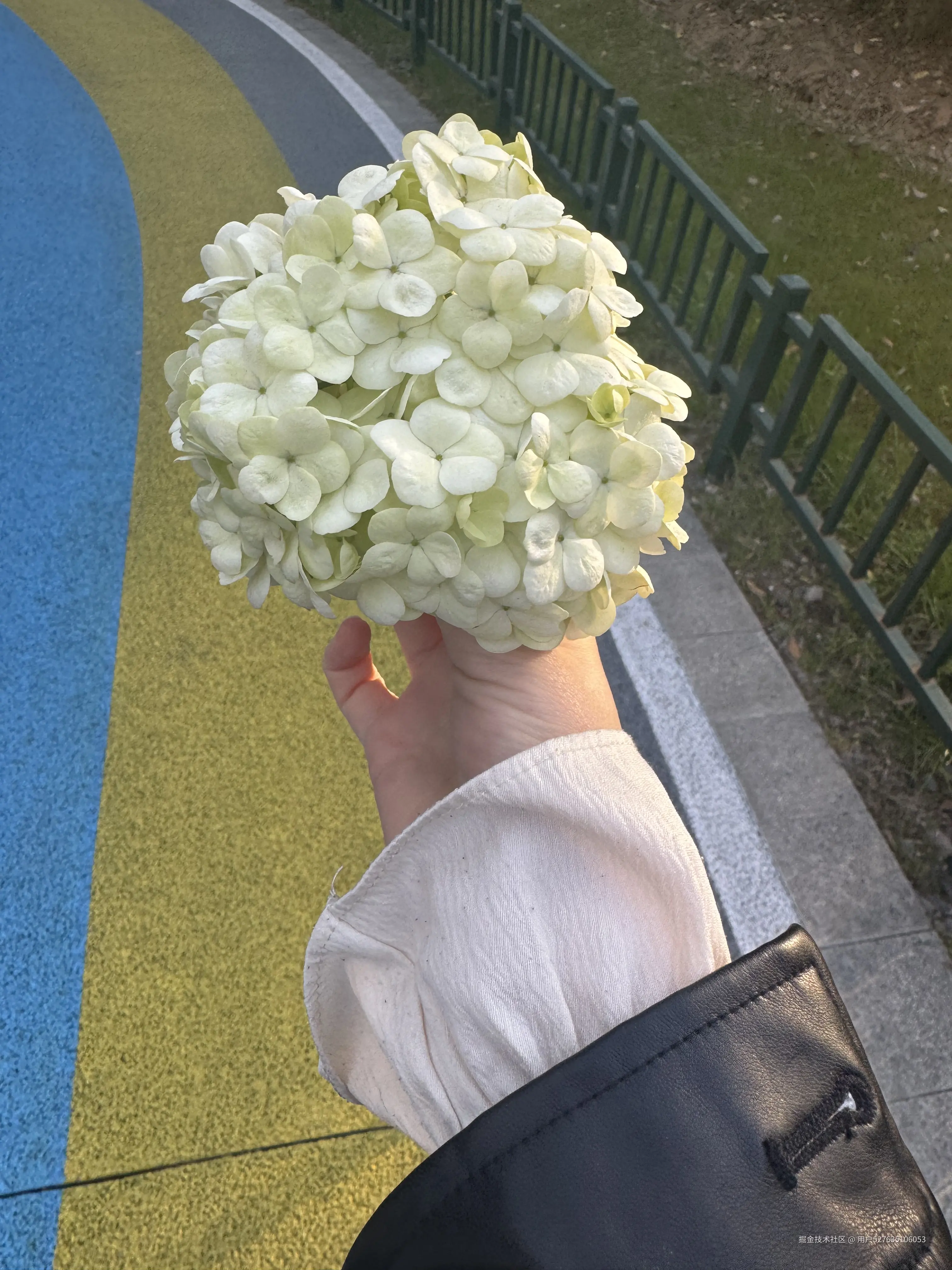 用户527635106053于2025-04-03 17:36发布的图片