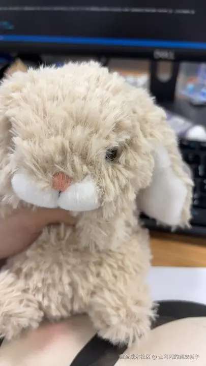 金闪闪的黄皮耗子于2026-02-05 11:04发布的图片