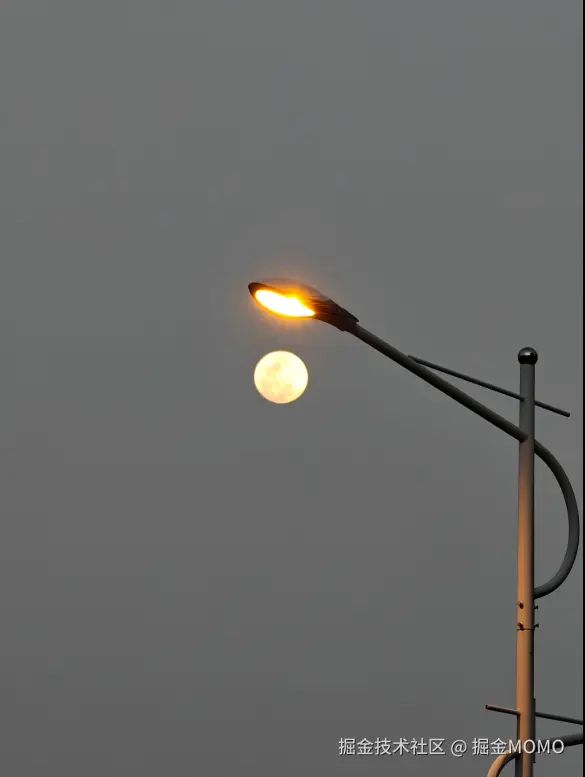 掘金MOMO于2026-03-03 14:36发布的图片