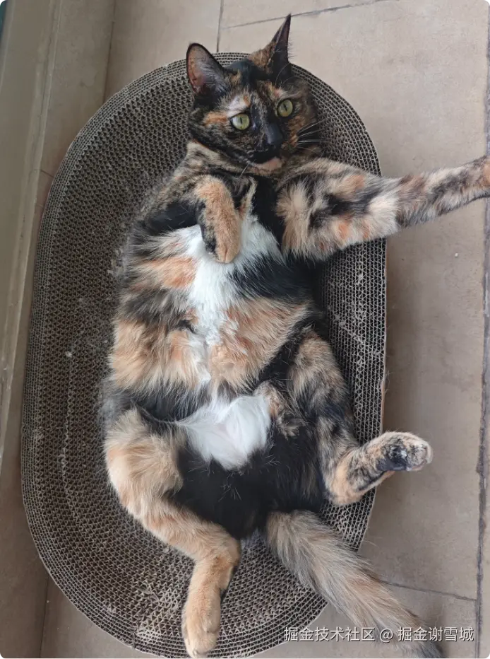 掘金谢雪城于2025-09-11 10:22发布的图片