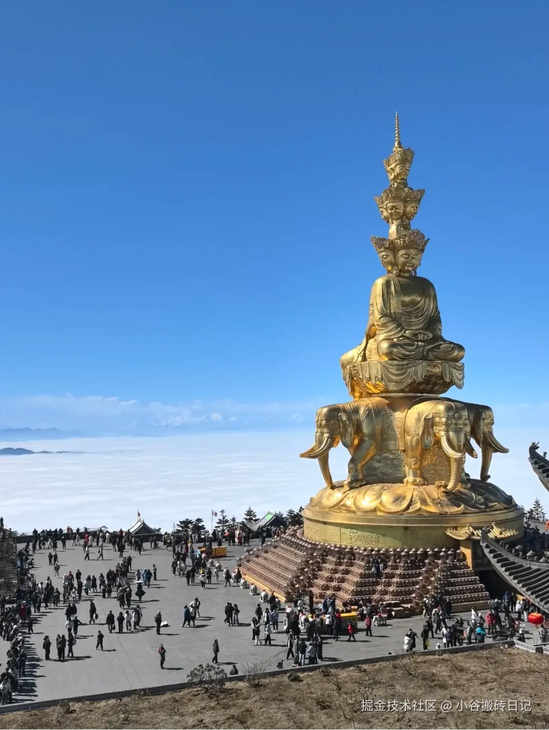 小谷搬砖日记于2026-02-18 17:59发布的图片