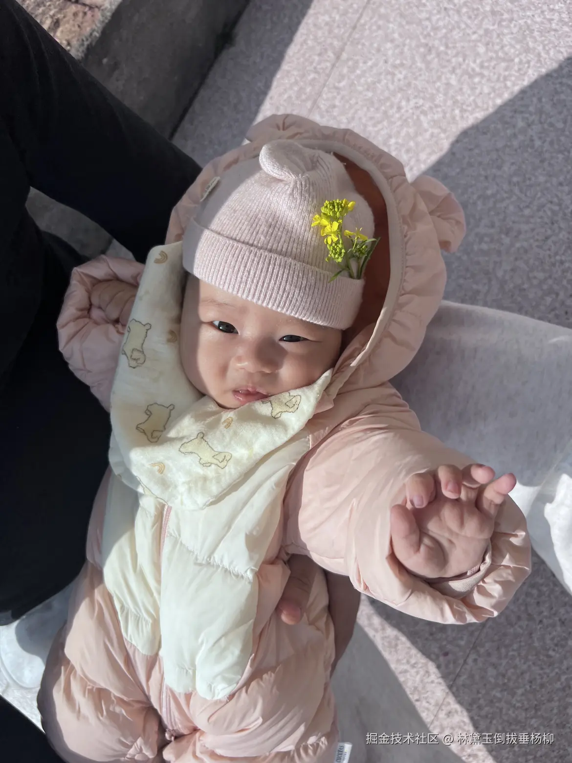 林黛玉倒拔垂杨柳于2026-03-28 13:52发布的图片