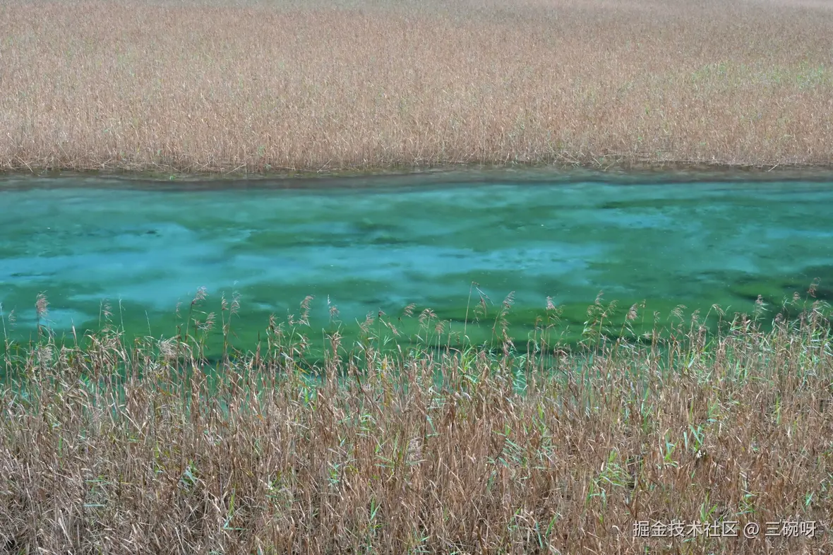 三碗呀于2025-11-19 08:23发布的图片