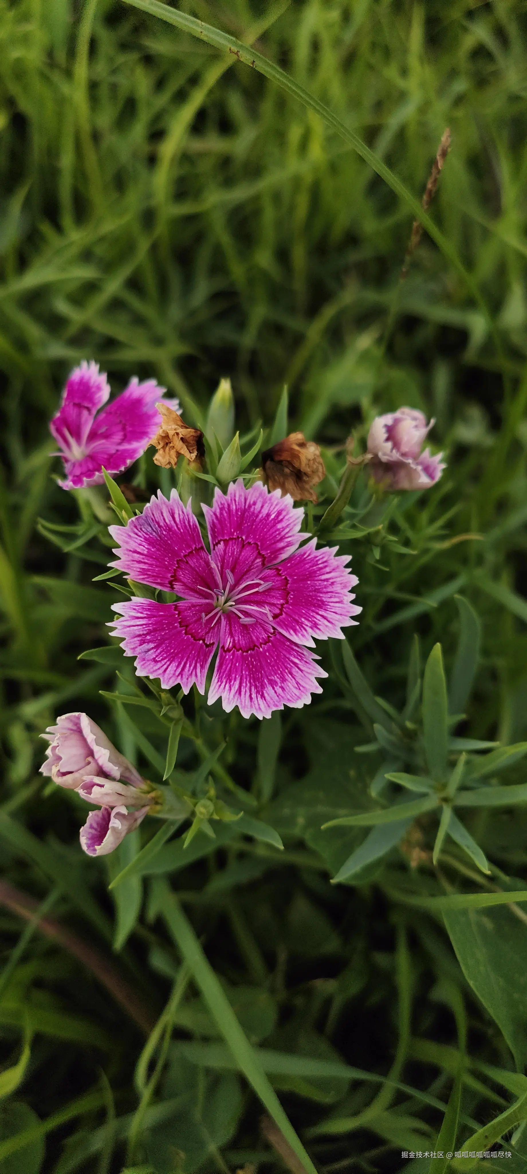 呱呱呱呱呱呱尽快于2025-09-13 19:12发布的图片