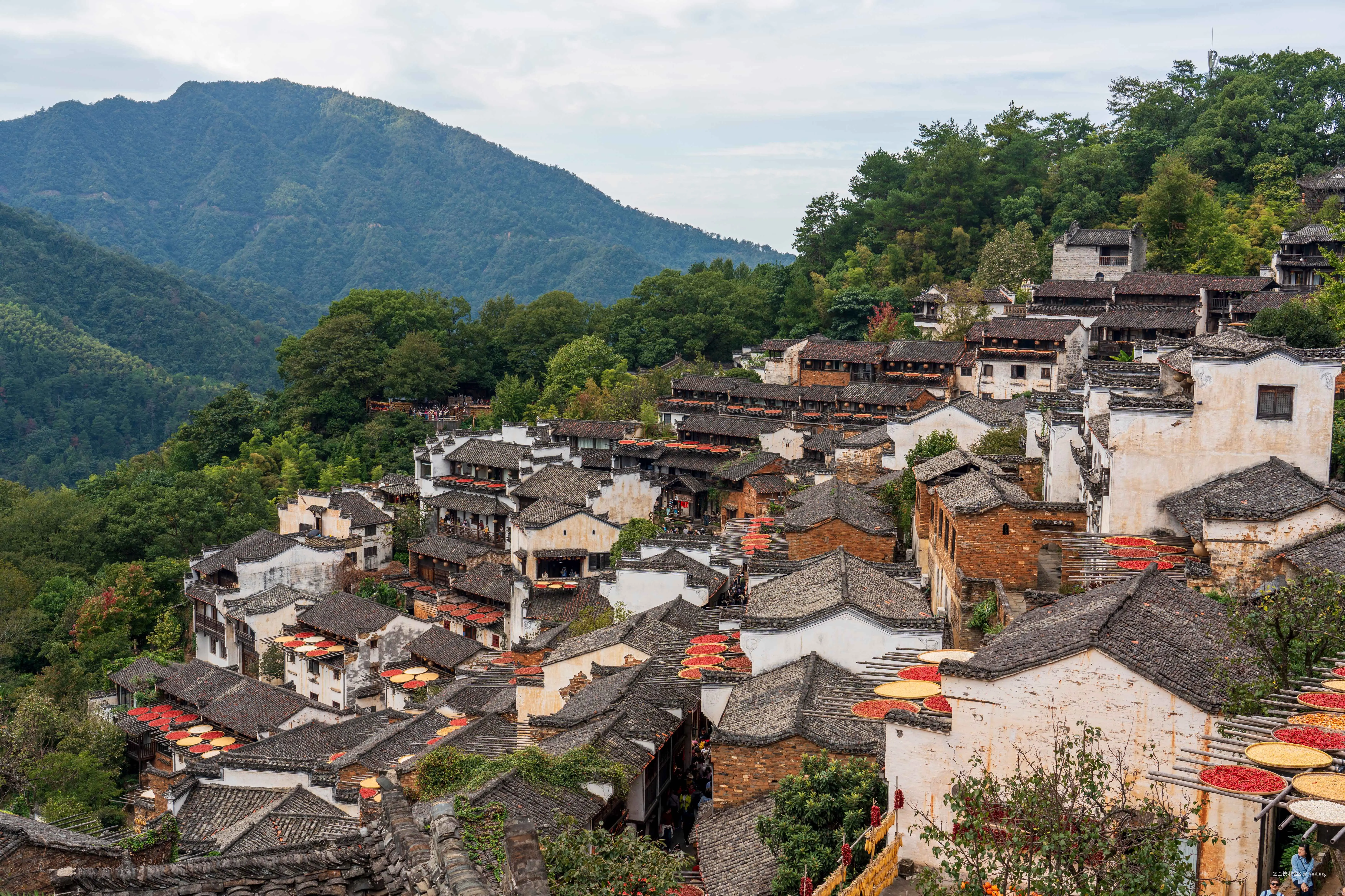 RinLing于2025-10-27 10:49发布的图片