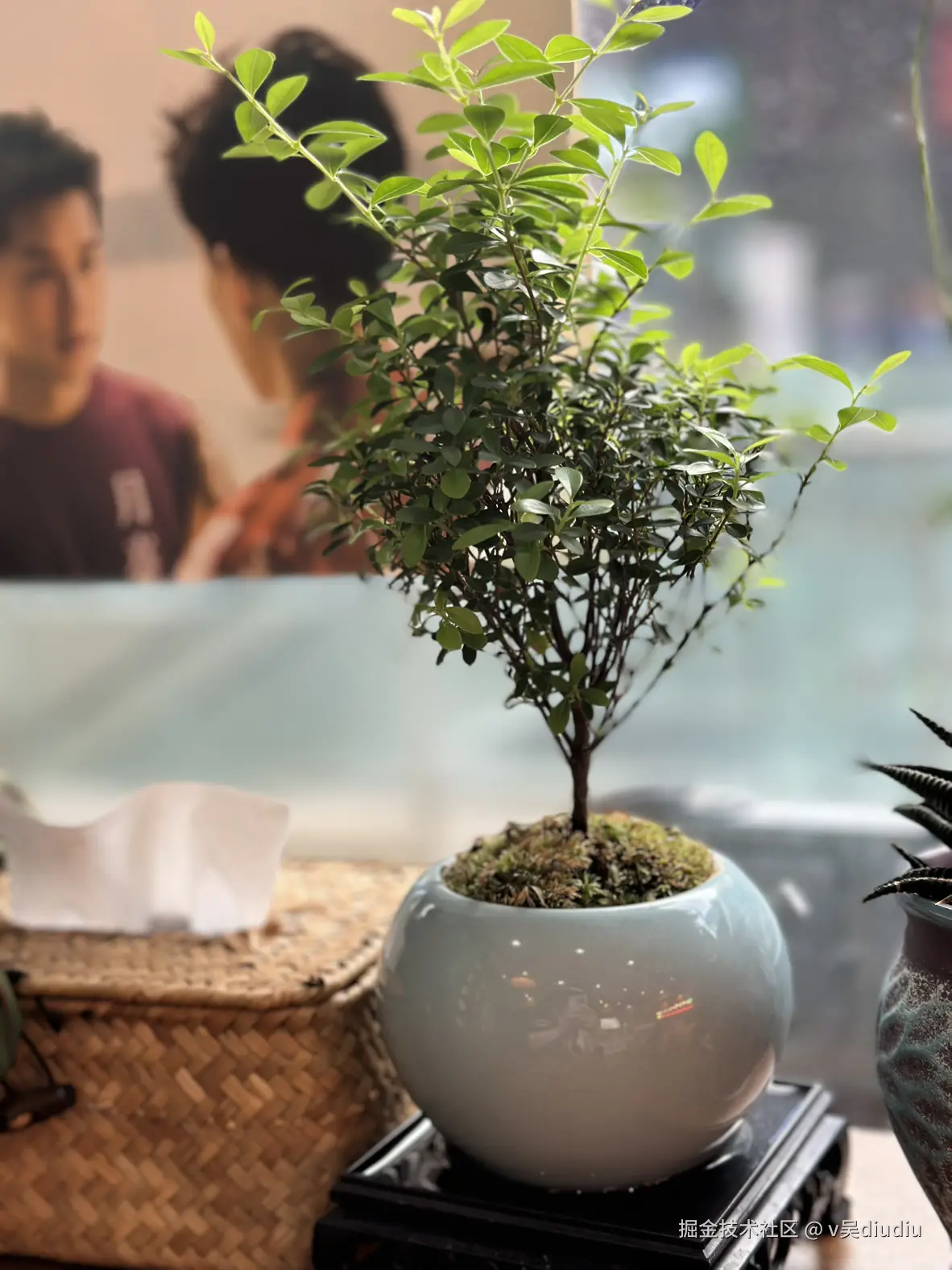 v吴diudiu于2025-08-24 14:11发布的图片