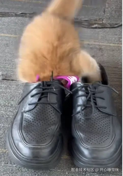 开心睡觉咪于2025-08-14 15:13发布的图片