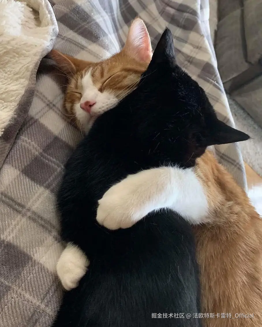 法欧特斯卡雷特_Official于2024-11-22 13:37发布的图片