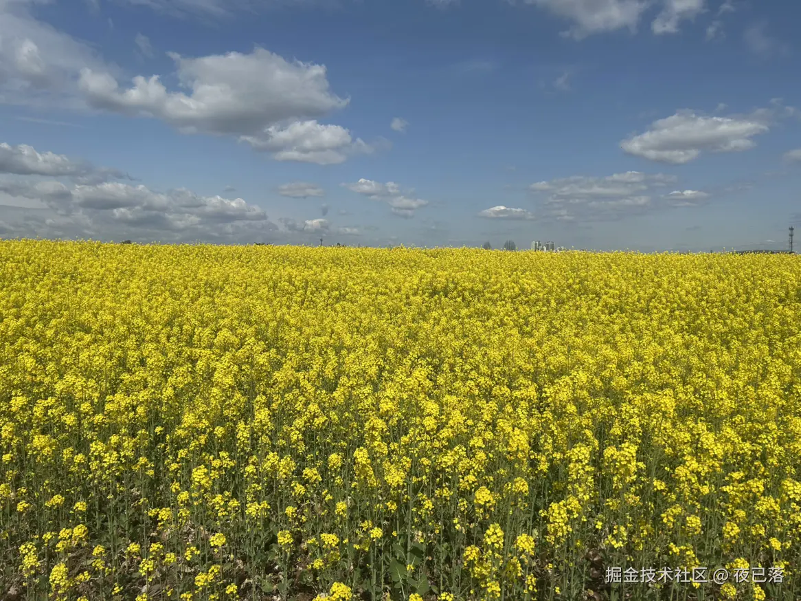 夜已落于2026-03-02 14:43发布的图片