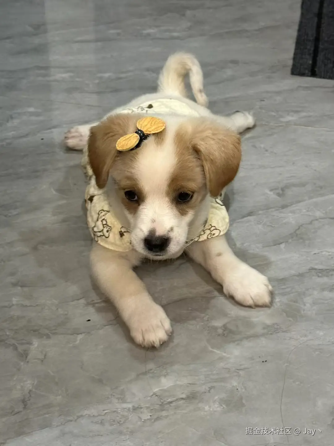 Jay丶于2024-10-14 10:01发布的图片