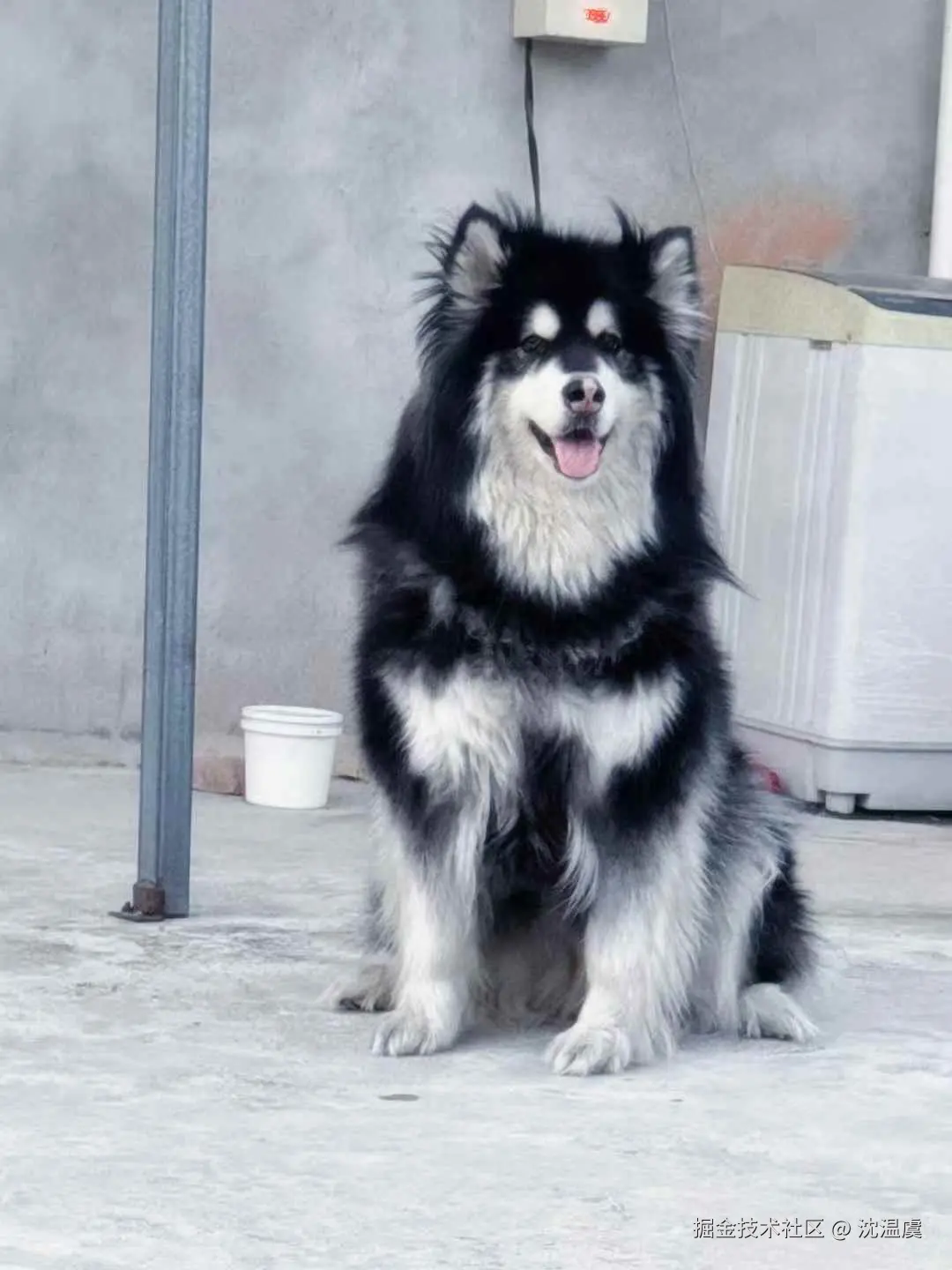 沈温虞于2025-12-12 13:39发布的图片