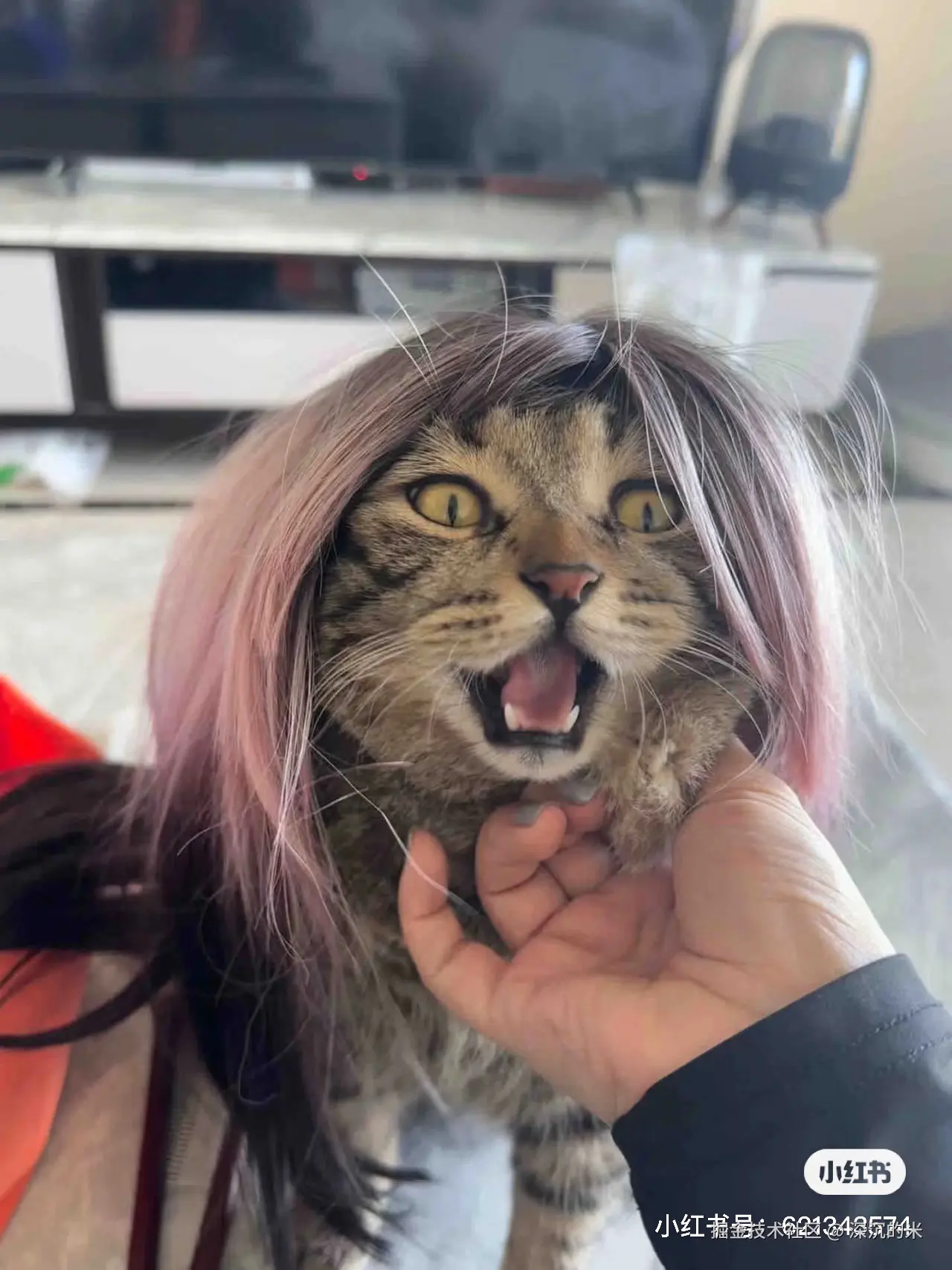 深沉的米于2024-09-10 00:27发布的图片