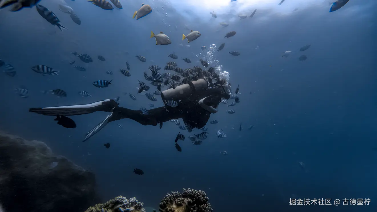 古德墨柠于2025-06-05 11:25发布的图片