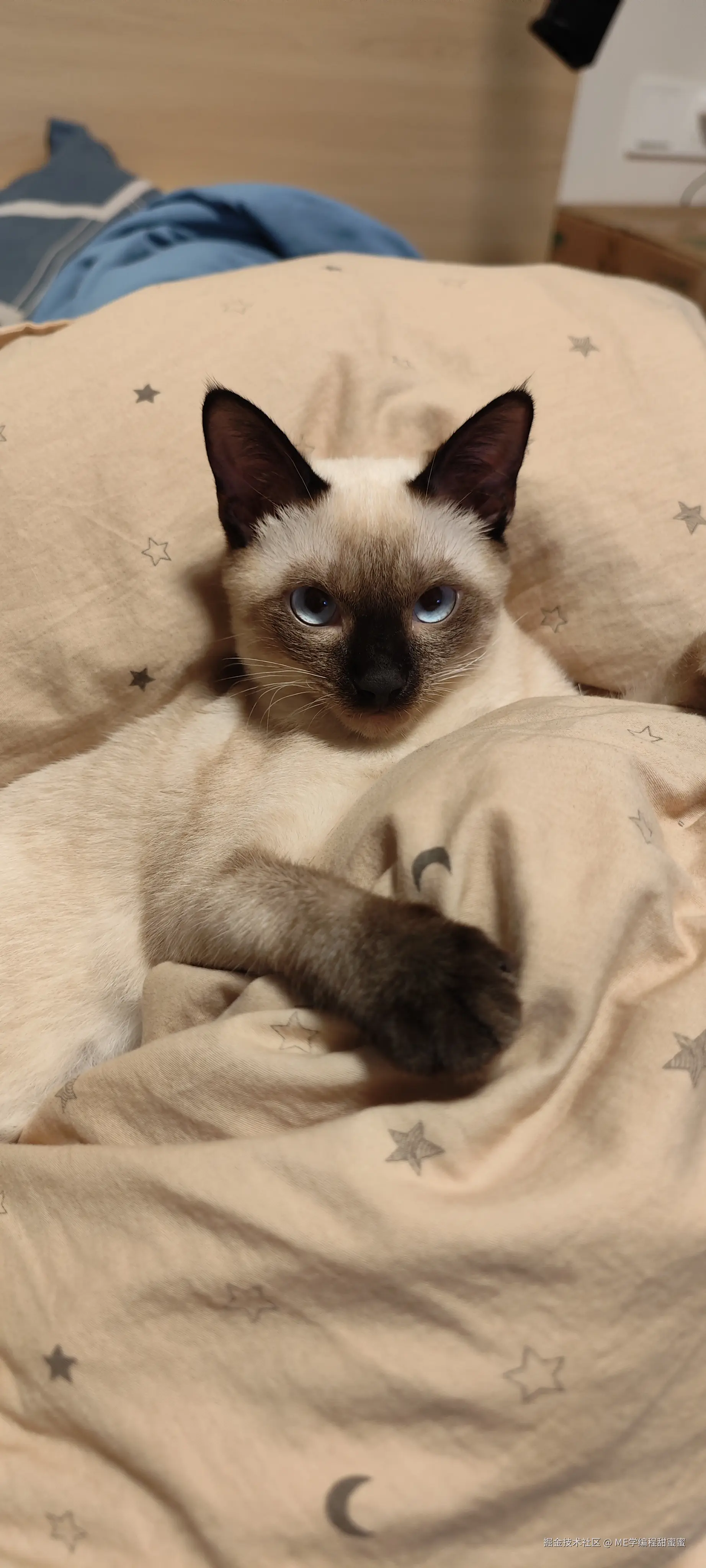 ME学编程甜蜜蜜于2024-07-18 16:20发布的图片