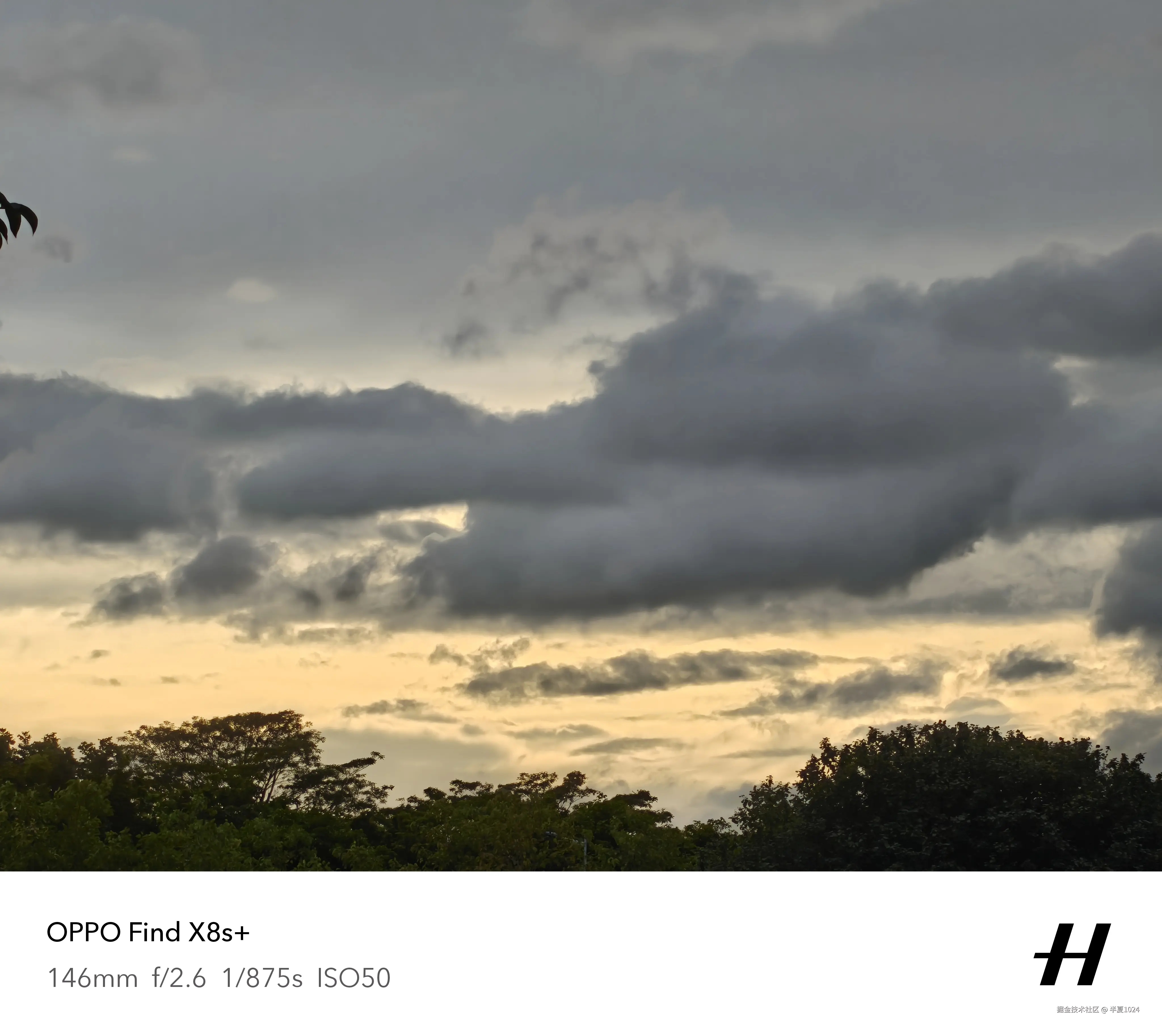 半夏1024于2025-07-02 15:38发布的图片