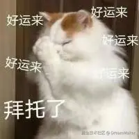 DreamMaker于2025-01-23 10:49发布的图片