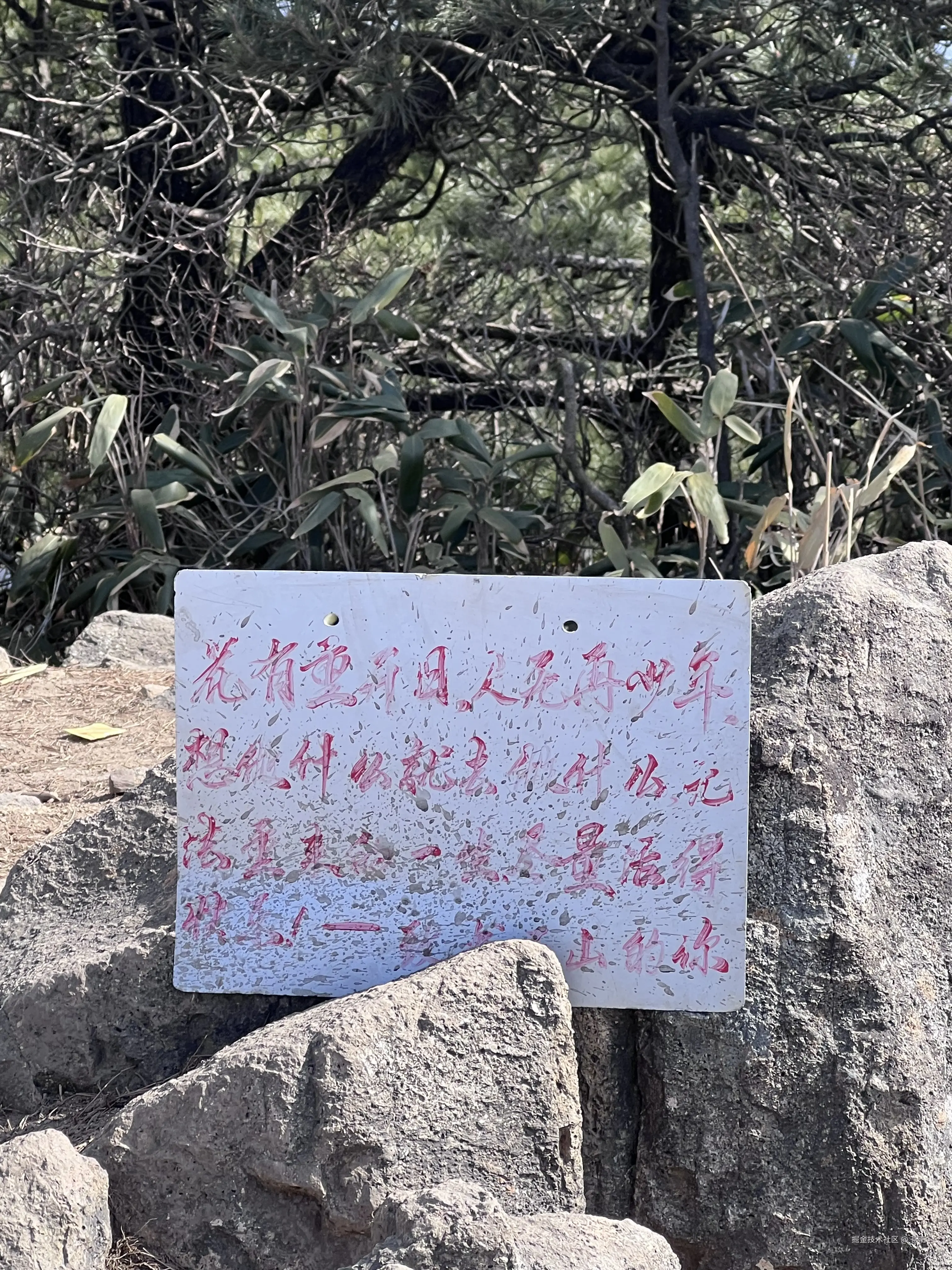 苍南于2025-01-22 23:38发布的图片