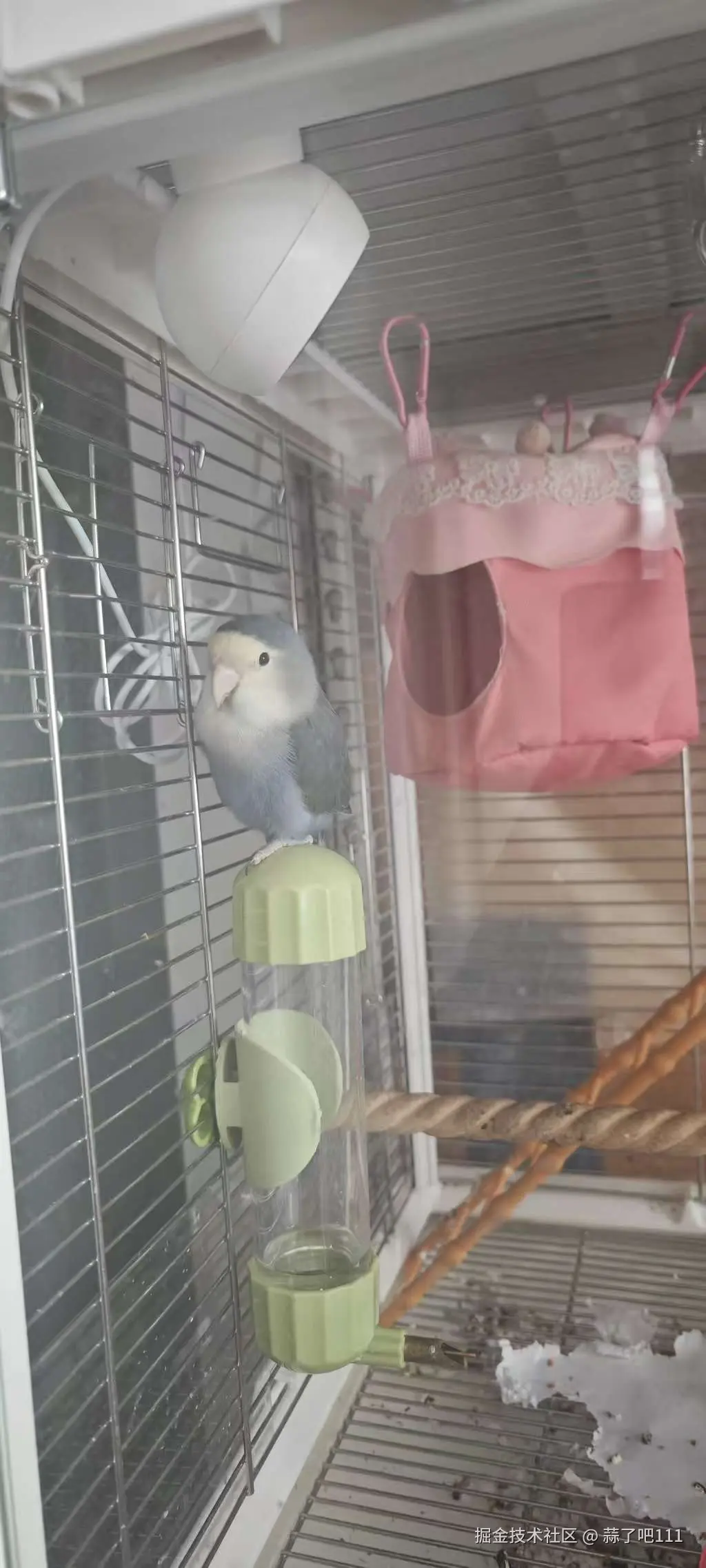 蒜了吧111于2025-11-03 16:04发布的图片