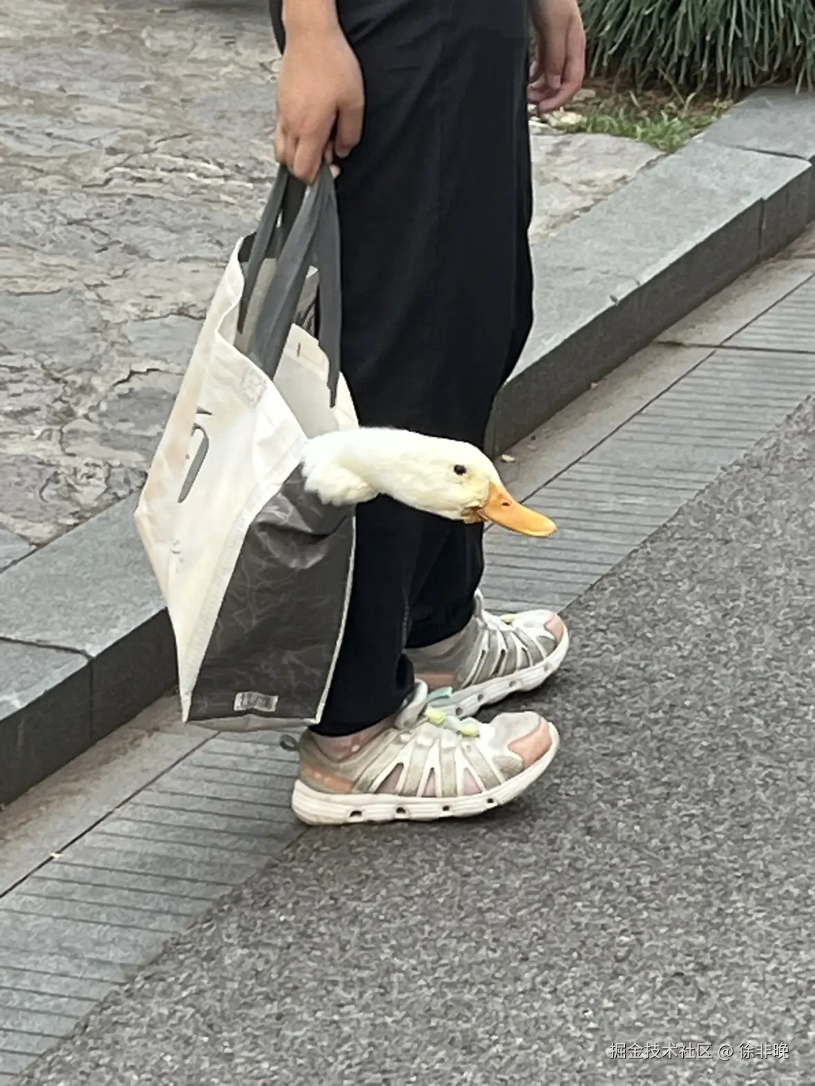 徐非晚于2025-05-27 11:15发布的图片