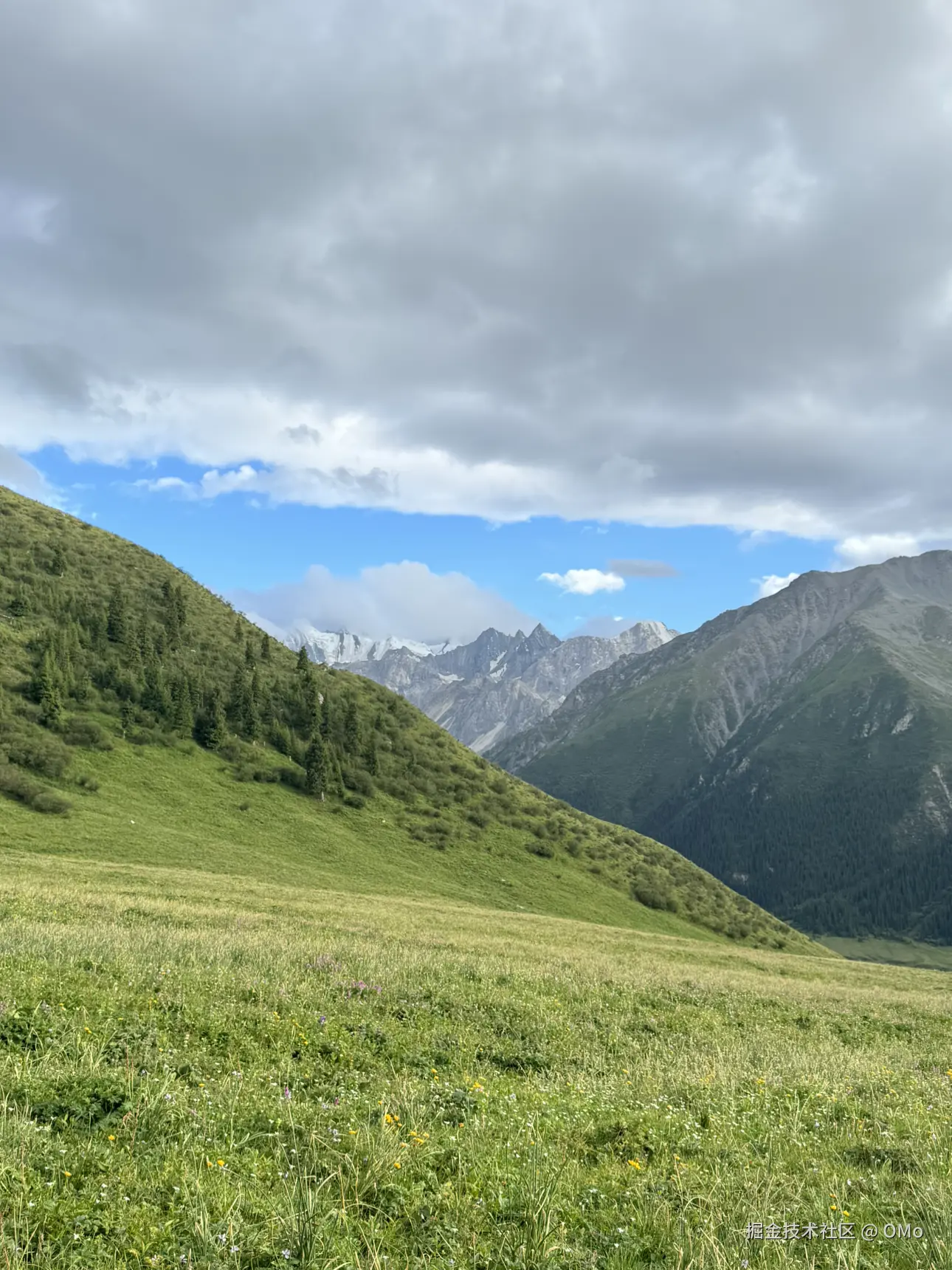 OMo于2026-01-23 01:58发布的图片