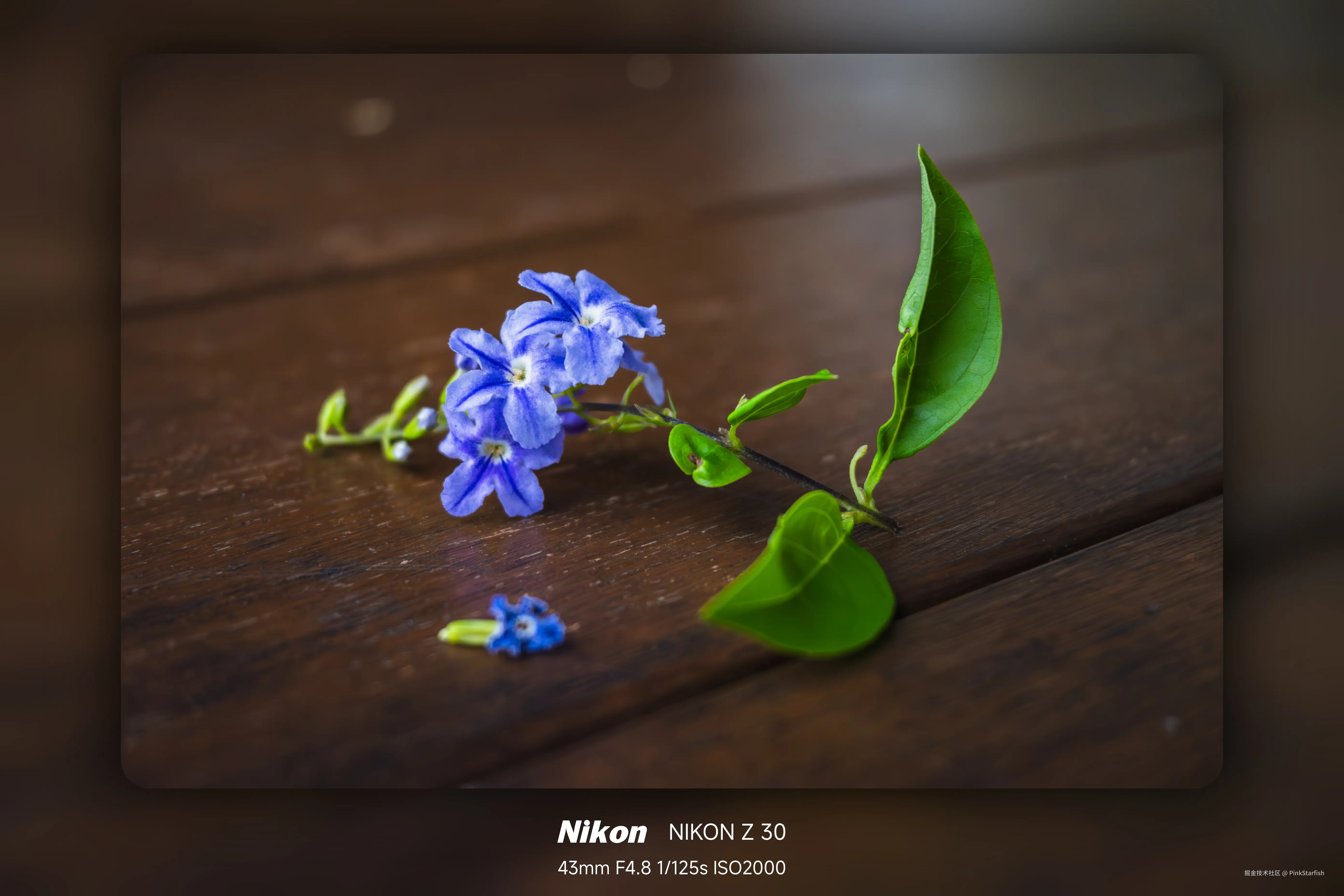 PinkStarfish于2025-05-29 00:57发布的图片