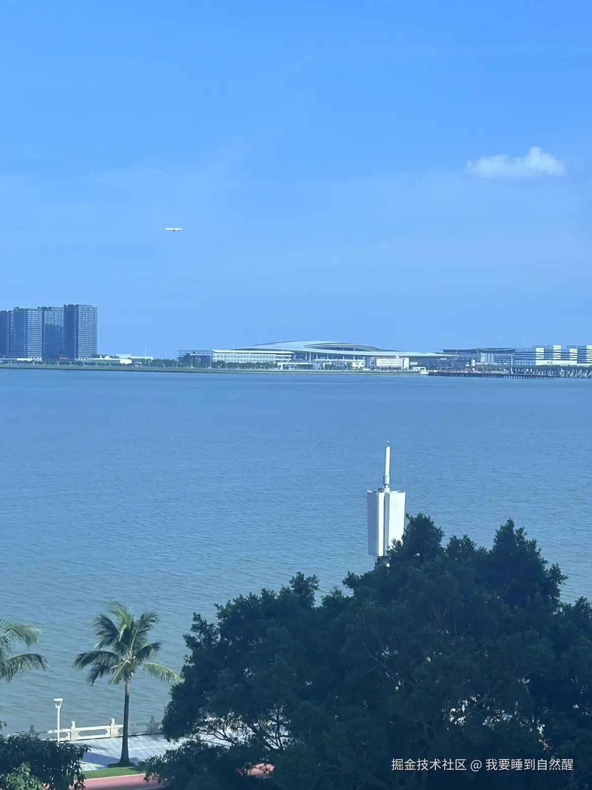 我要睡到自然醒于2025-08-13 16:19发布的图片