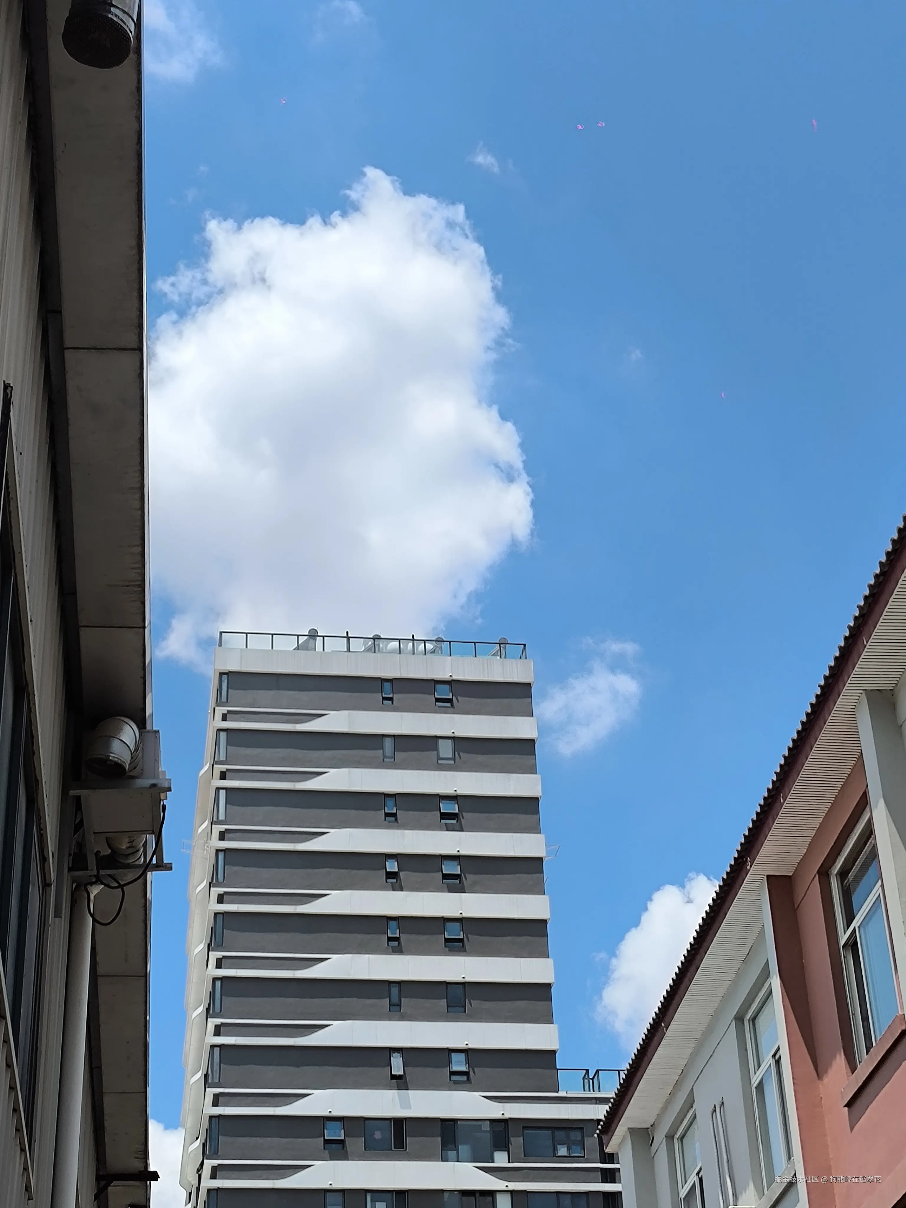 狗熊岭在逃翠花于2024-08-08 15:56发布的图片