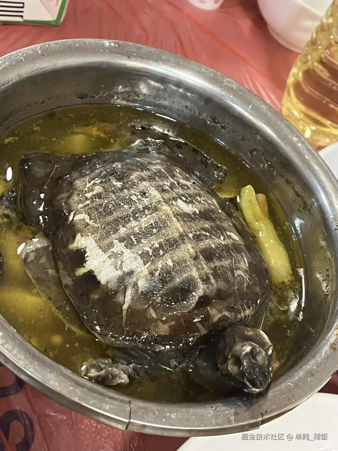 单纯_稀饭于2026-02-01 12:16发布的图片