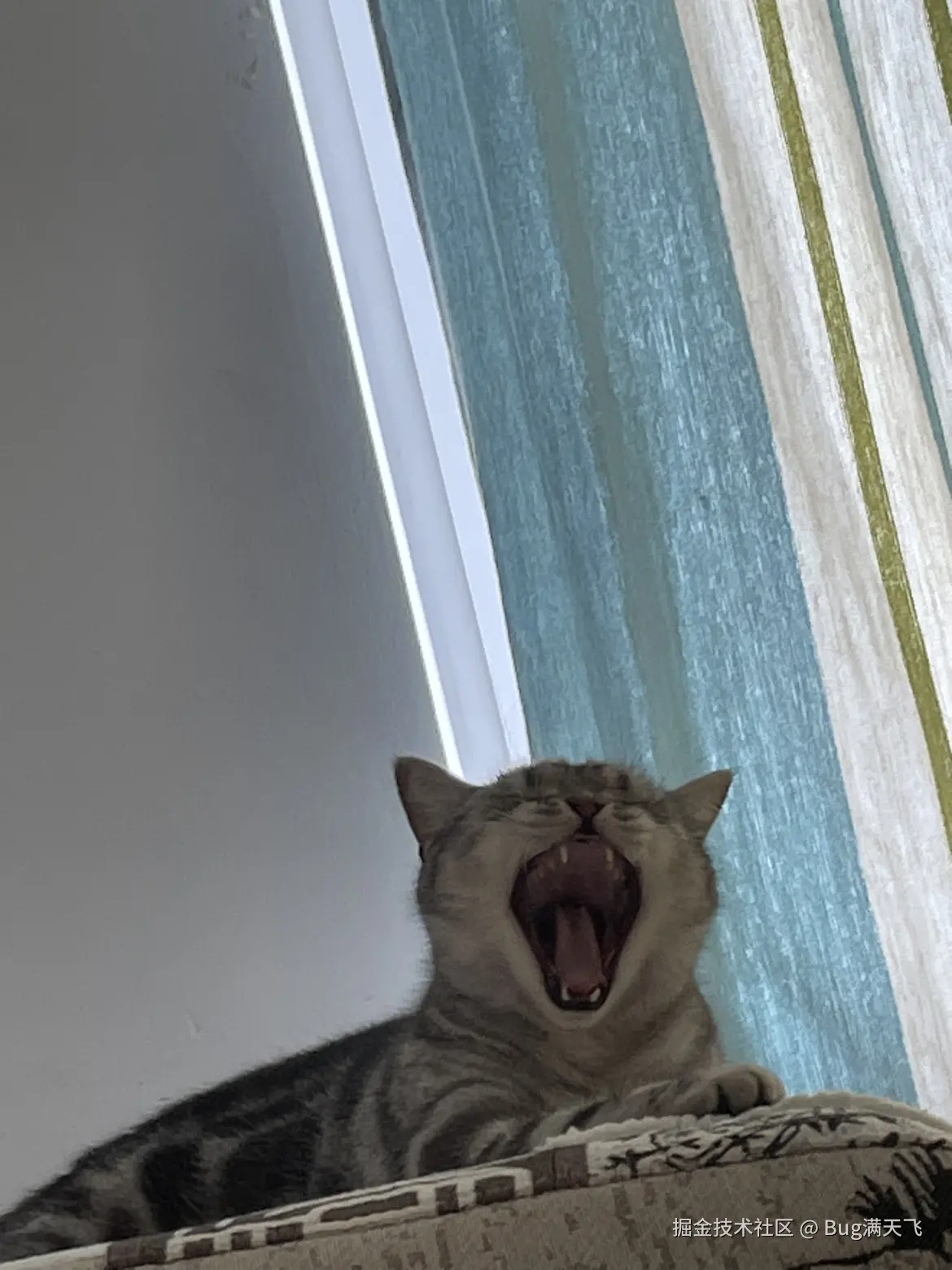 Bug满天飞于2024-10-09 16:13发布的图片