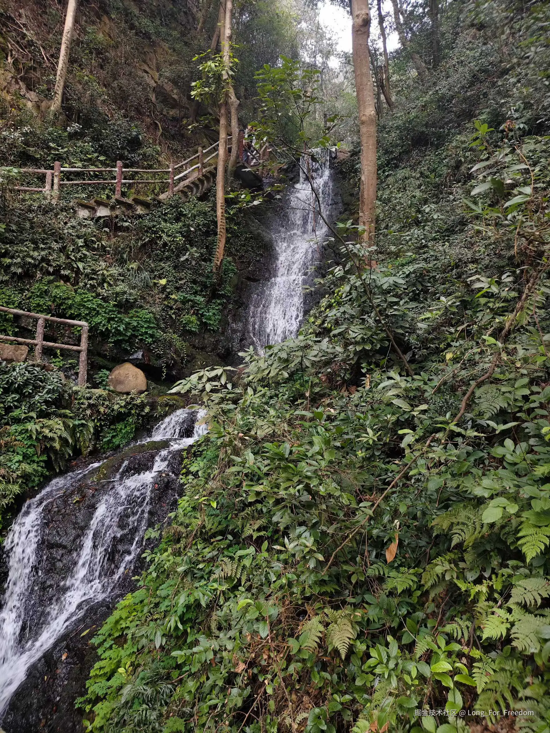 Long_For_Freedom于2026-01-19 10:22发布的图片