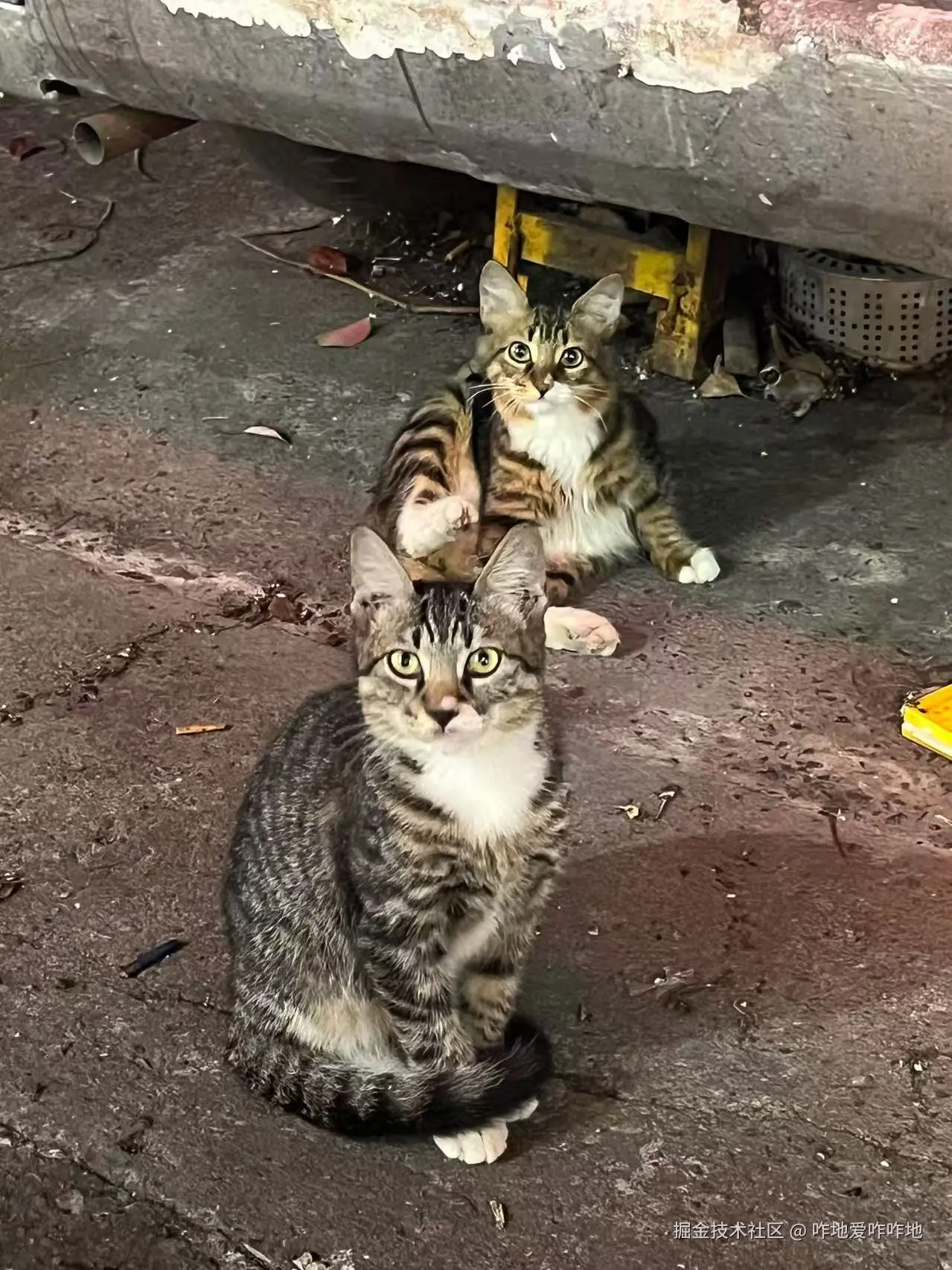 咋地爱咋咋地于2025-11-12 13:41发布的图片