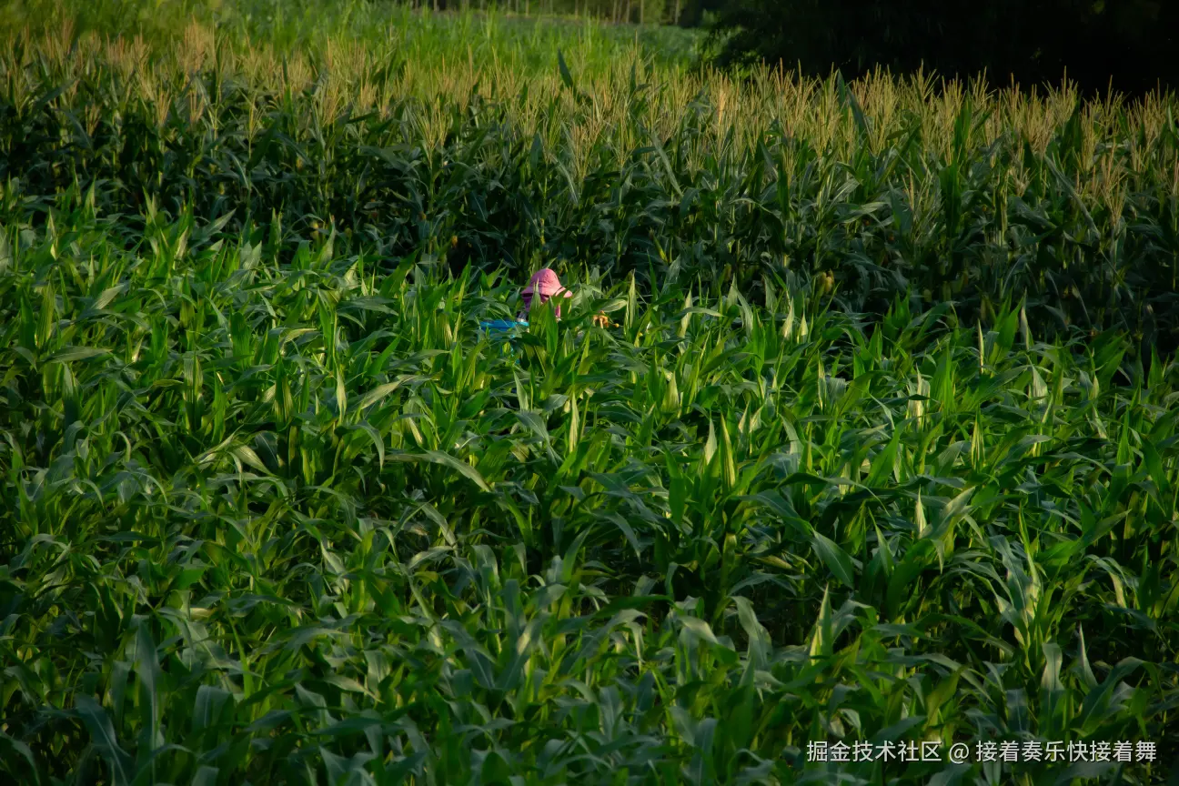 接着奏乐快接着舞于2024-09-26 00:54发布的图片