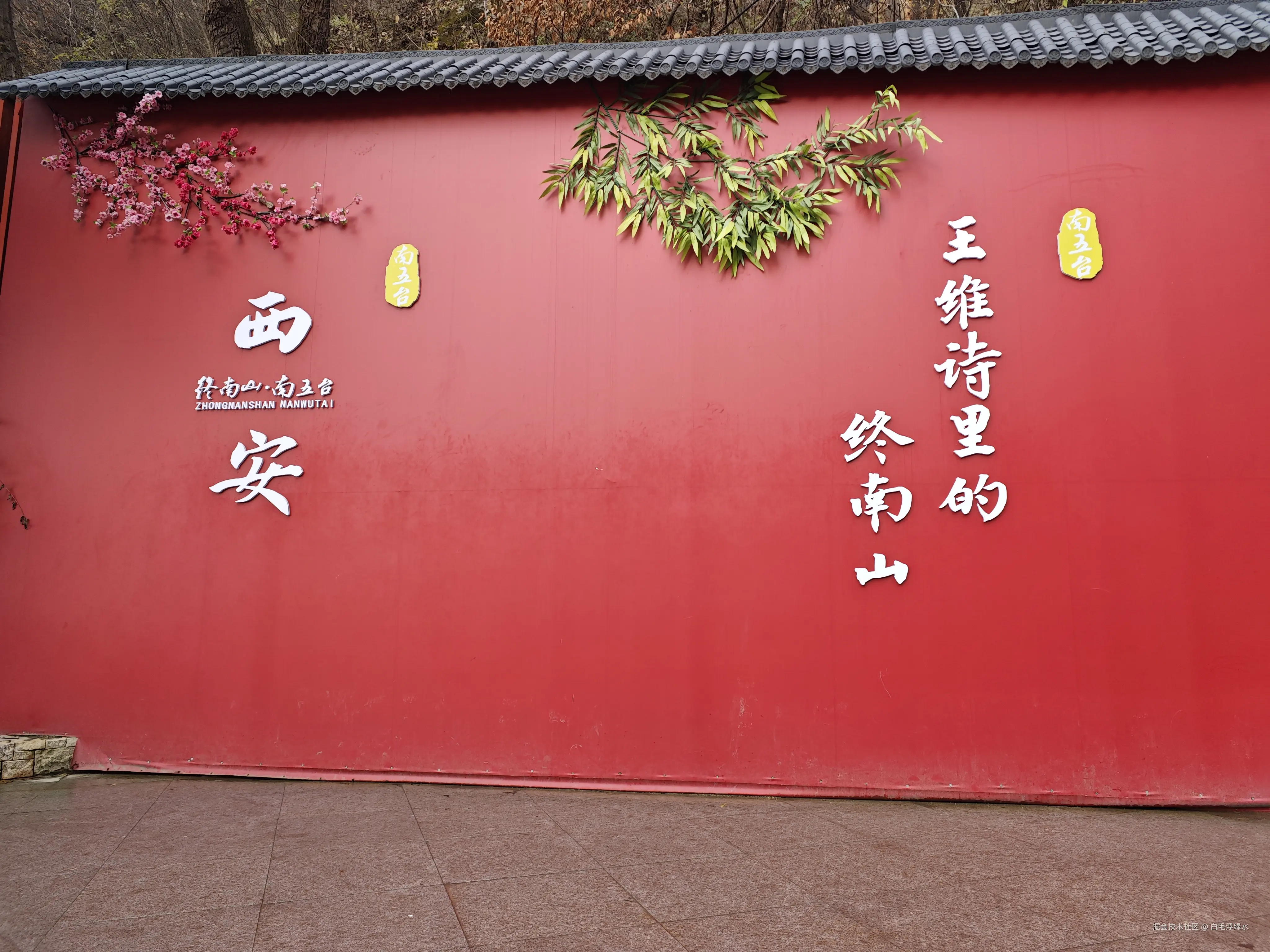 白毛浮绿水于2024-11-25 11:13发布的图片