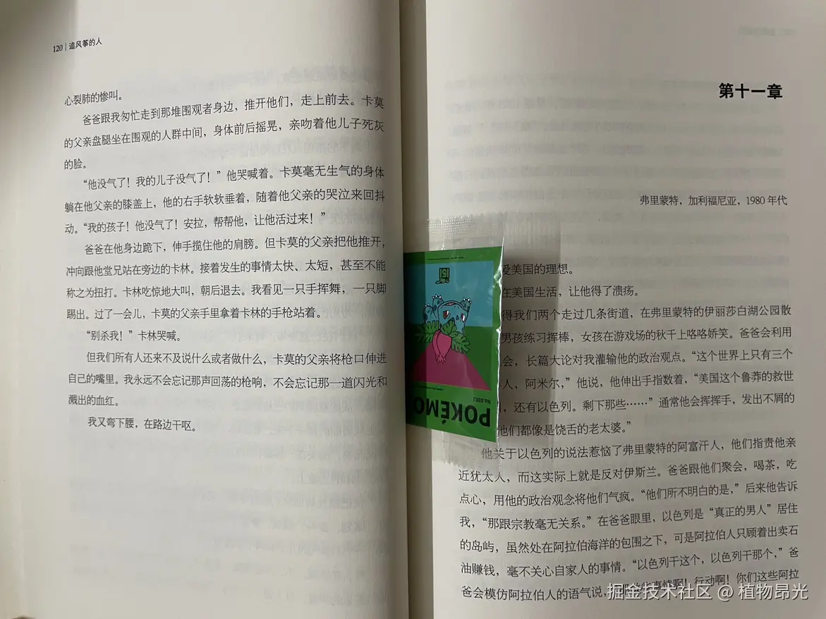植物昂光于2026-07-24 15:47发布的图片