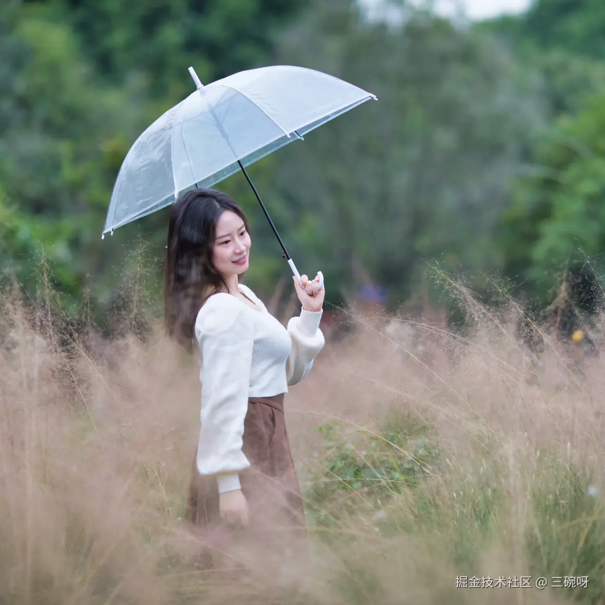 三碗呀于2024-11-25 11:11发布的图片